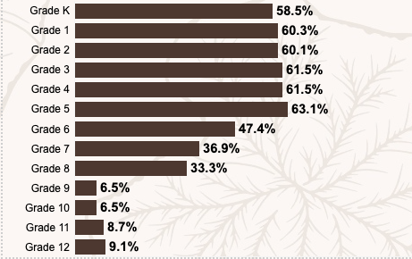 The percentage of Hawaii students taking computer science classes declines in high school. Unlike in elementary and middle school, high schoolers can choose their own schedules and opt not to take computer science electives.