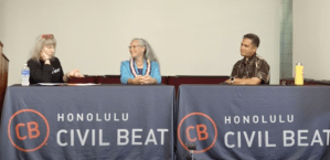 House District 29: Meet Your 2024 Hawaii Election Candidates