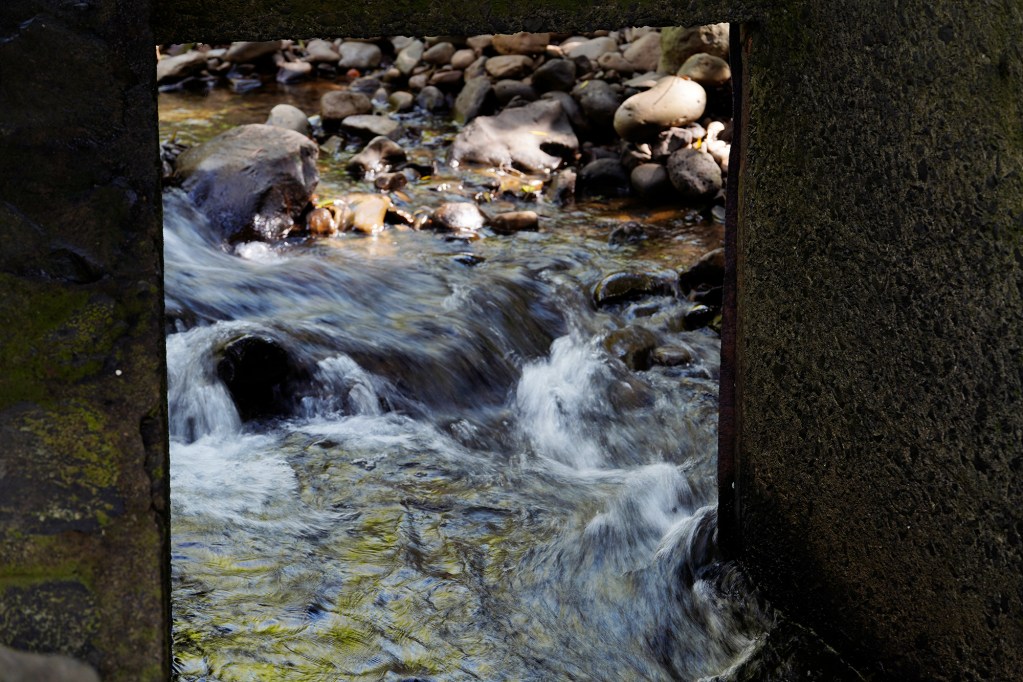 The gate for a diversion of Hoolawa Stream is photographed Thursday, Oct. 3, 2024, in Huelo. This gate is permanently open as the dam mechanism is no longer operation. East Maui water rights are a point of contention. (Kevin Fujii/Civil Beat/2024)