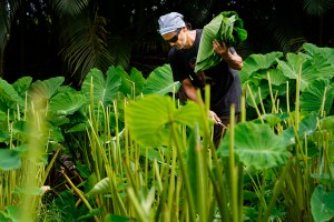 This Farmer-Artist Questions Hawaiʻi’s Statehood. He Wants To Be LG