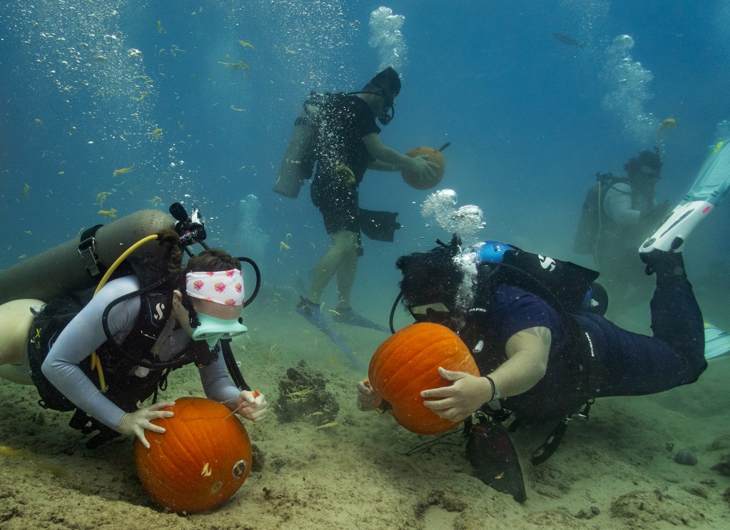 Emily Boutain, left, and Gem Eastep carve their pumpkins during an Island Divers Hawaii underwater pumpkin carving contest Saturday, Oct. 26, 2024, in Honolulu. (Kevin Fujii/Civil Beat/2024)