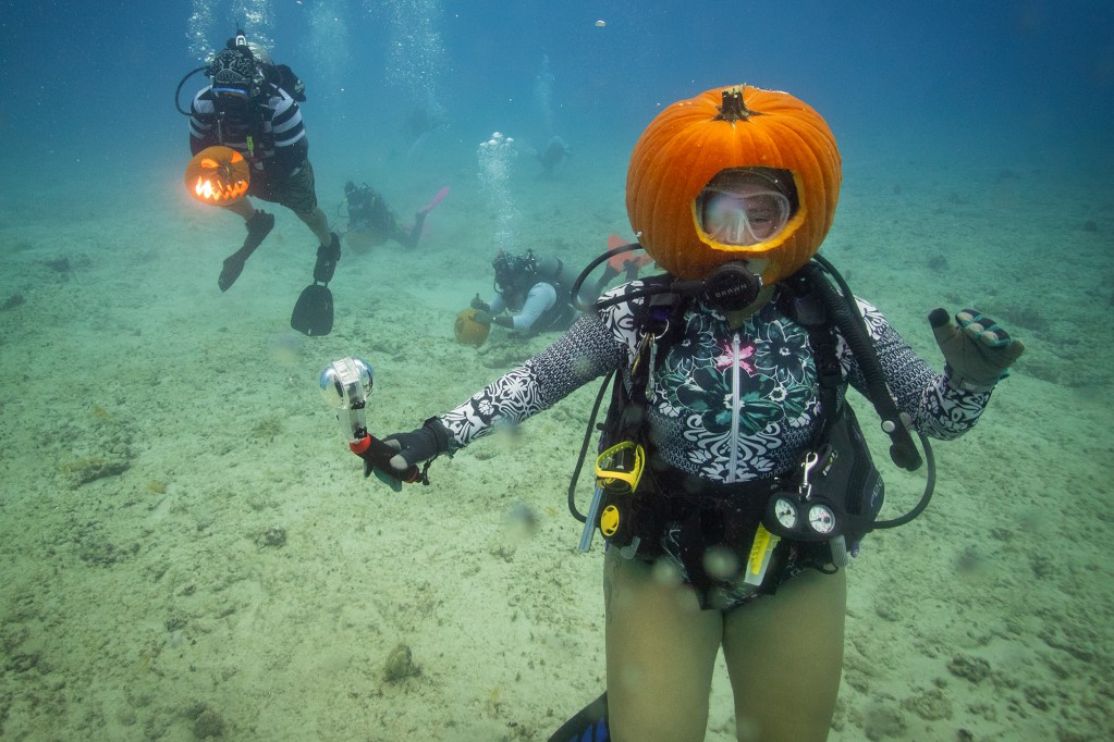 Island Divers Hawaii divemaster Adrian Fouts wears the jack-o-lantern she carved during an underwater pumpkin carving contest Saturday, Oct. 26, 2024, in Honolulu. Eventual winner of the contest Javier Martinez, left, puts his dive light inside his jack-o-lantern. First place wins a two-tank dive aboard a certified boat dive charter, an approximately $174 value. (Kevin Fujii/Civil Beat/2024)
