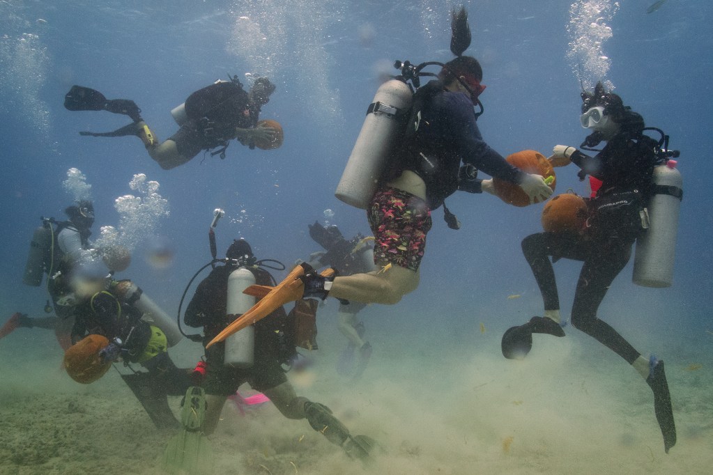 Island Divers Hawaii underwater pumpkin carving contestants try to carve their gourds 35 feet underwater Saturday, Oct. 26, 2024, in Honolulu. The annual event has taken place for almost a decade. (Kevin Fujii/Civil Beat/2024)