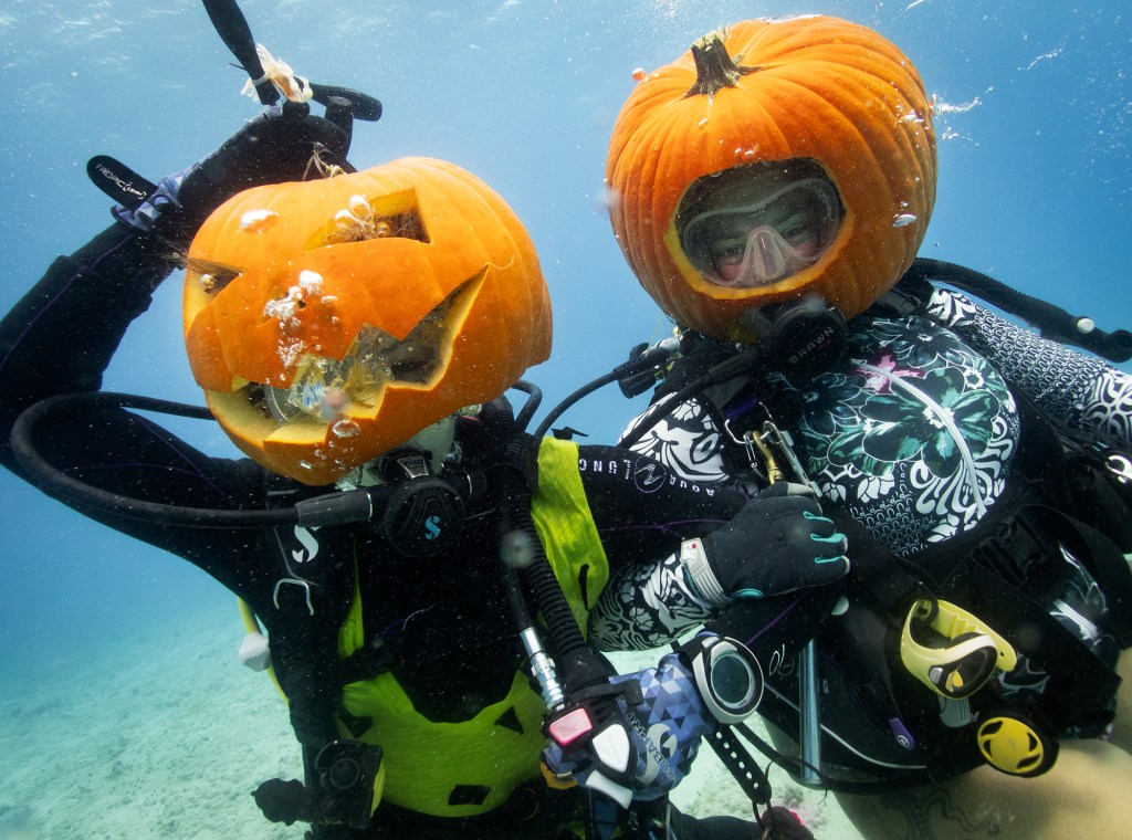 Island Divers Hawaii divemasters Julie Furletti, left, and Adrian Fouts, carve their pumpkins into wearable jack-o-lanterns during the underwater pumpkin carving contest Saturday, Oct. 26, 2024, in Honolulu. (Kevin Fujii/Civil Beat/2024)