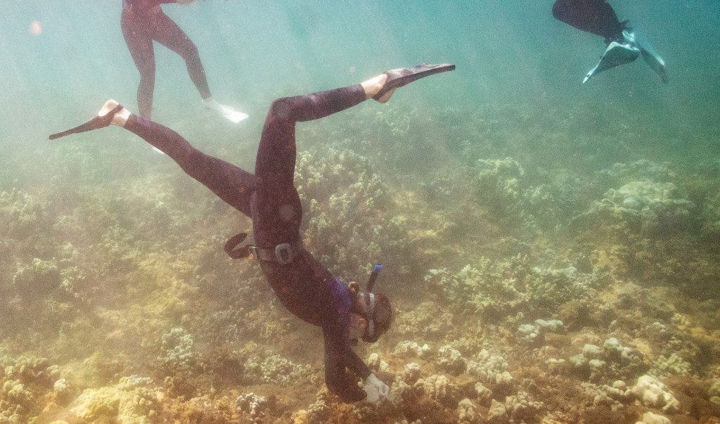 Annalea Fink cleans off a coral inventory tag with Maui Marine and The Nature Conservancy, Hawai'i at Mala Wharf Tuesday, Oct. 29, 2024, in Lahaina. (Kevin Fujii/Civil Beat/2024)