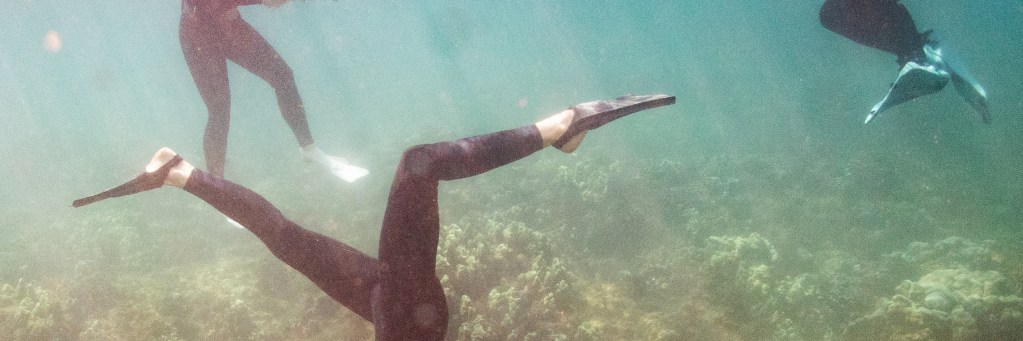 Annalea Fink cleans off a coral inventory tag with Maui Marine and The Nature Conservancy, Hawai'i at Mala Wharf Tuesday, Oct. 29, 2024, in Lahaina. (Kevin Fujii/Civil Beat/2024)