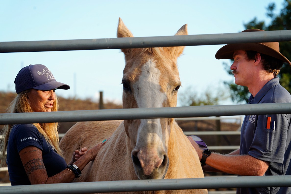Paige Deponte Director Kulia I Ka Nu'u Spirit Horse Ranch, Sugar and Garrett Higgins work together during Higgins’ equine-therapy session Friday, Nov. 8, 2024, in Kula. (Kevin Fujii/Civil Beat/2024)