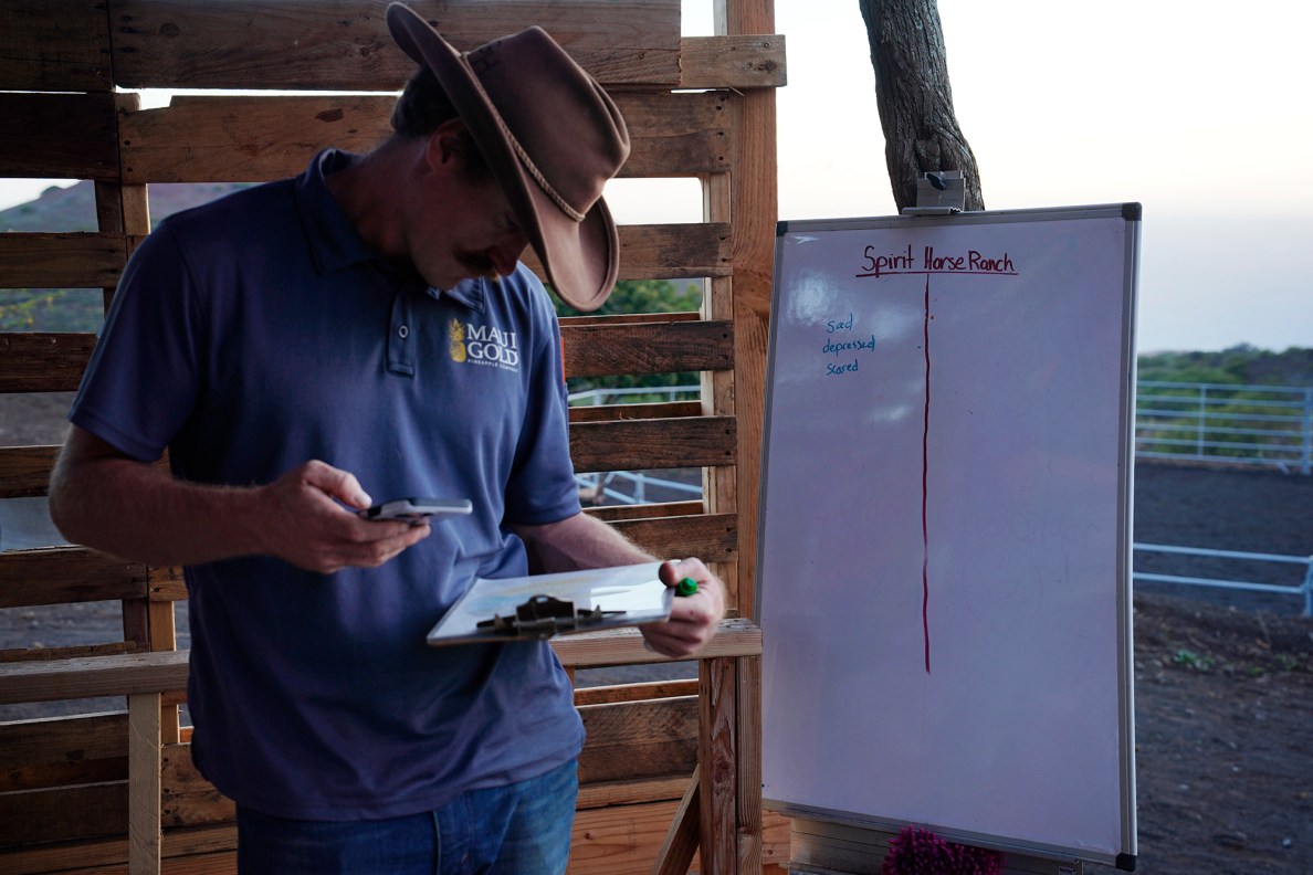 Garrett Higgins wraps up his equine-therapy session at Spirit Horse Ranch Friday, Nov. 8, 2024, in Kula. (Kevin Fujii/Civil Beat/2024)