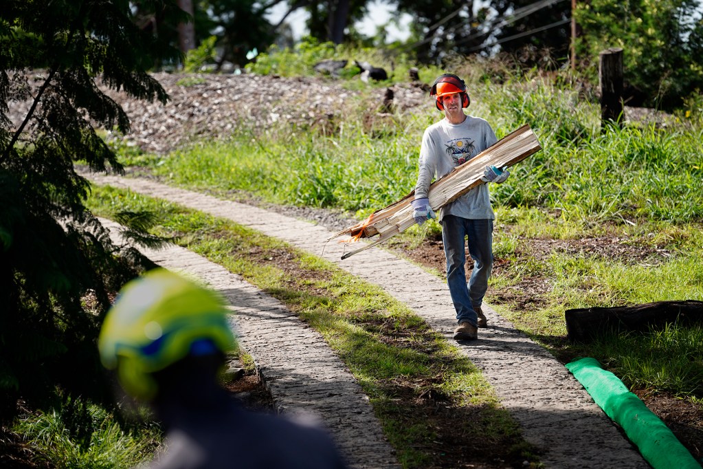 Mālama Kula Executive Director Kyle Ellison carries wood for chipping in Maui’s Upcountry Friday, Nov. 8, 2024, in Kula. This mostly residential, non-tourist area was hit with a fire the same day as Lahaina on Aug. 8, 2023. Before the fires, some residents tossed their green waste in the Pōhakuokalā Gulch. This added more fuel to the Aug. 8 fire. (Kevin Fujii/Civil Beat/2024)