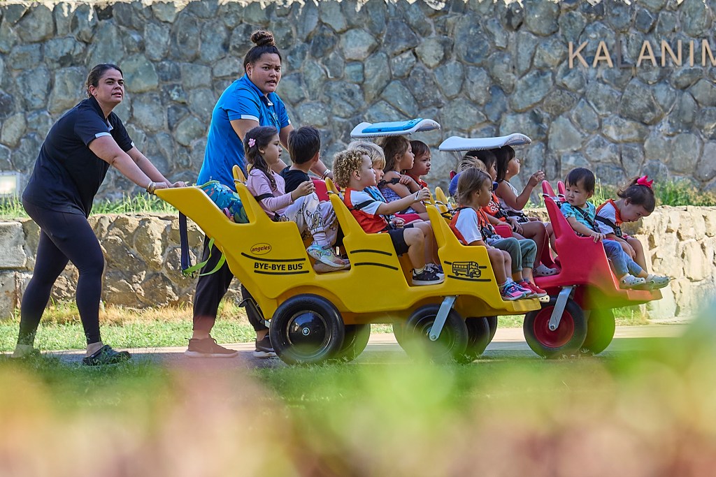 Teachers from a local preschool program provide the children a brief hiatus from classroom activities passing by the rear of the Mission Memorial Auditorium.