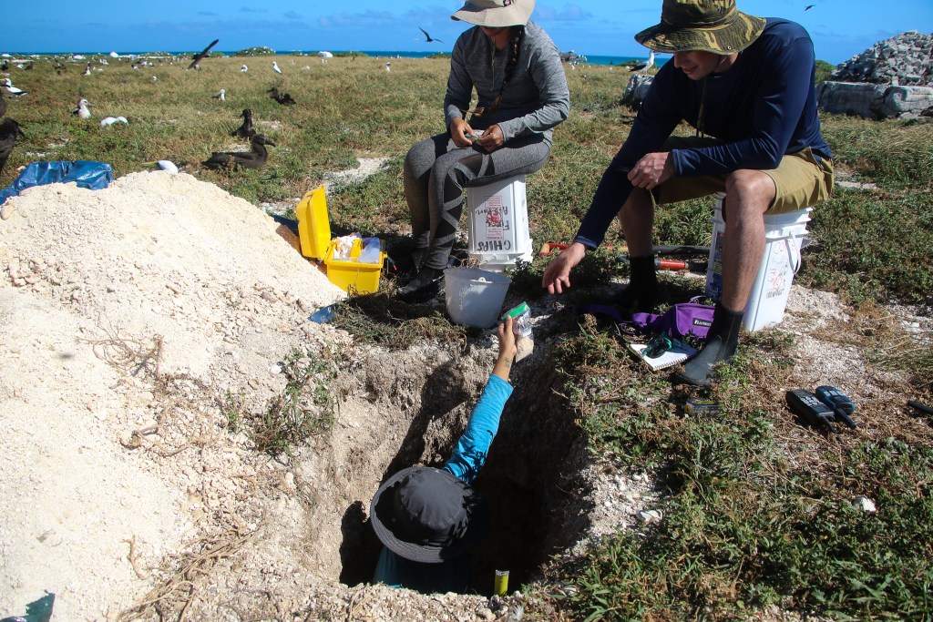 A team of scientists gathered core samples from East Island in 2018, just two months before Hurricane Walaka hit. (Alana Eagle/Civil Beat/2024)