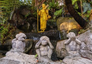 What Buddhism Can Teach In This Moment Of Deep Divisions