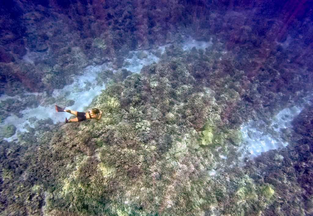 The reef at Milolii. (Nathan Eagle/Civil Beat/2024)