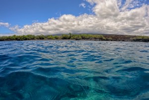 Sea Level Rise Is A Science Issue, Not Just An Environmental Concern