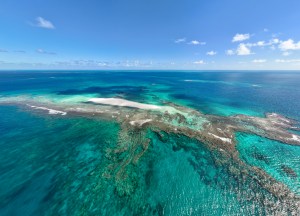 This Remote Hawaiian Island Had Vanished. Here’s Why Its Comeback Is Crucial