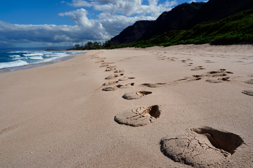 Human footprints mark Mokuleia Beach near Ka’ena Point directly across Farrington Highway from Lesley Macpherson and James “Kimo” Lyman’s residence Wednesday, Dec. 4, 2024, in Mokuleia. A report released recently by the National Oceanic and Atmospheric Administration states newborn Hawaiian Monk Seal pup P07 was killed on this beach by dogs on May 24, 2024. The dogs belong to DLNR employee Macpherson and her boyfriend Lyman. (Kevin Fujii/Civil Beat/2024)
