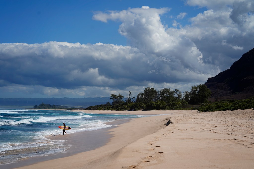 A surfer heads out from Mokuleia Beach near Ka’ena Point directly across Farrington Highway from Lesley Macpherson and James “Kimo” Lyman’s residence Wednesday, Dec. 4, 2024, in Mokuleia. A report released recently by the National Oceanic and Atmospheric Administration states newborn Hawaiian Monk Seal pup P07 was killed on this beach by dogs on May 24, 2024. The dogs belong to DLNR employee Macpherson and her boyfriend Lyman. (Kevin Fujii/Civil Beat/2024)