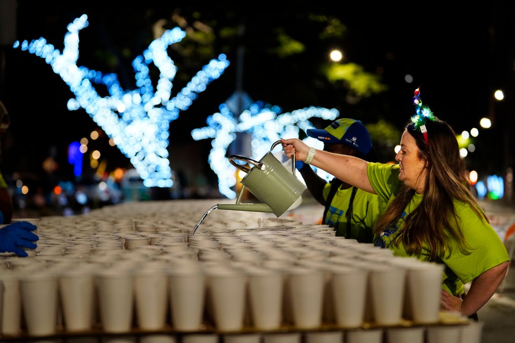 Hawaii Lacrosse Club’s Virginya Aronson  fills cups for Honolulu Marathon runners in front of Iolani Palace Sunday, Dec. 8, 2024, in Honolulu. This is the 31st year the Hawaii Lacrosse Club has volunteered to hand out water during the 52nd Honolulu Marathon. (Kevin Fujii/Civil Beat/2024)