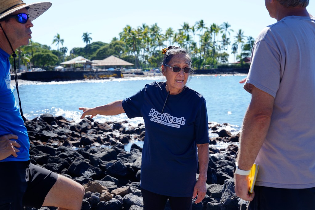 Kohala Center’s Cindi Punihaole and the University of Hawaii Hilo perform a dye test Tuesday, Dec. 17, 2024, at Kahalu’u Bay in Kailua-Kona. The dye was placed in nearby cesspools. The data collected is to gauge the speed raw sewage reaches the coast.  (Kevin Fujii/Civil Beat/2024)