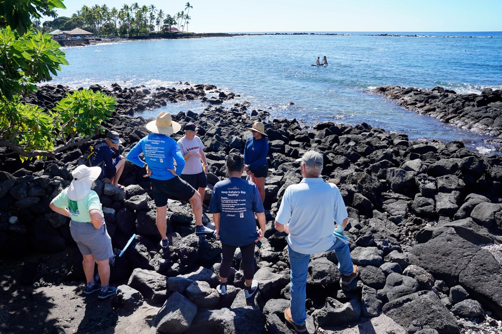 University of Hawaii Hilo Dr. Steve Colbert and marine-science undergraduate Sky Skiwo (facing camera) explain to Kohala Center's Cindi Punihaole and volunteers how to sample water from fresh-water springs Tuesday, Dec. 17, 2024, at Kahalu’u Bay in Kailua-Kona. Dye was placed in nearby cesspools earlier in the day. The data collected is to gauge the speed raw sewage reaches the coast. (Kevin Fujii/Civil Beat/2024)