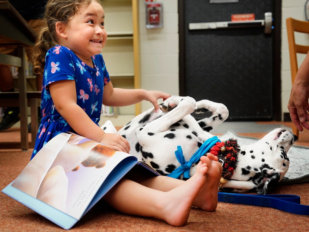 K9 TheraPets therapy-dog Star seeks belly scratches as Diana Gonsalves, 3, tries to read to her Wednesday, Dec. 18, 2024, at the Ewa Beach Public and School Library in Ewa Beach. The library hosts this event every third Wednesday morning for an hour beginning at 10:30. Young readers can practice reading aloud to pups of different sizes. (Kevin Fujii/Civil Beat/2024)