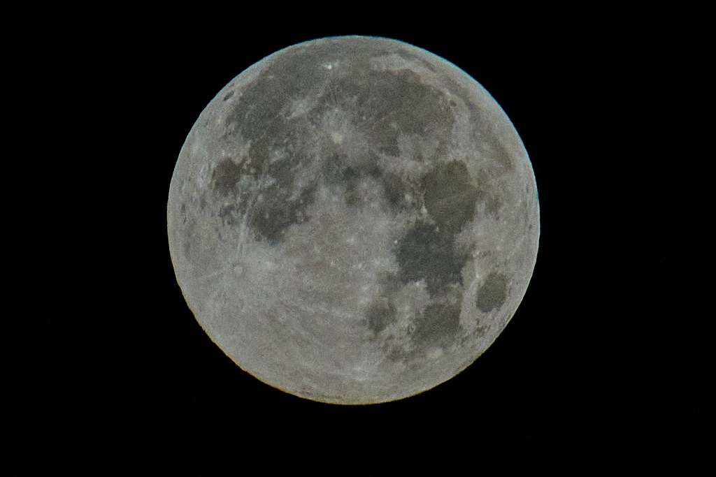 And É who can resist the sight of a full moon hanging over the neighborhood? Photographed in the early hours of February 12th just after the viewable Full Moon achieved 99.9% in our area.(David Croxford/Civil Beat/2025)