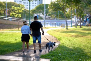 Loving Trees, Loving Parks: An Rx For Our Urban Areas