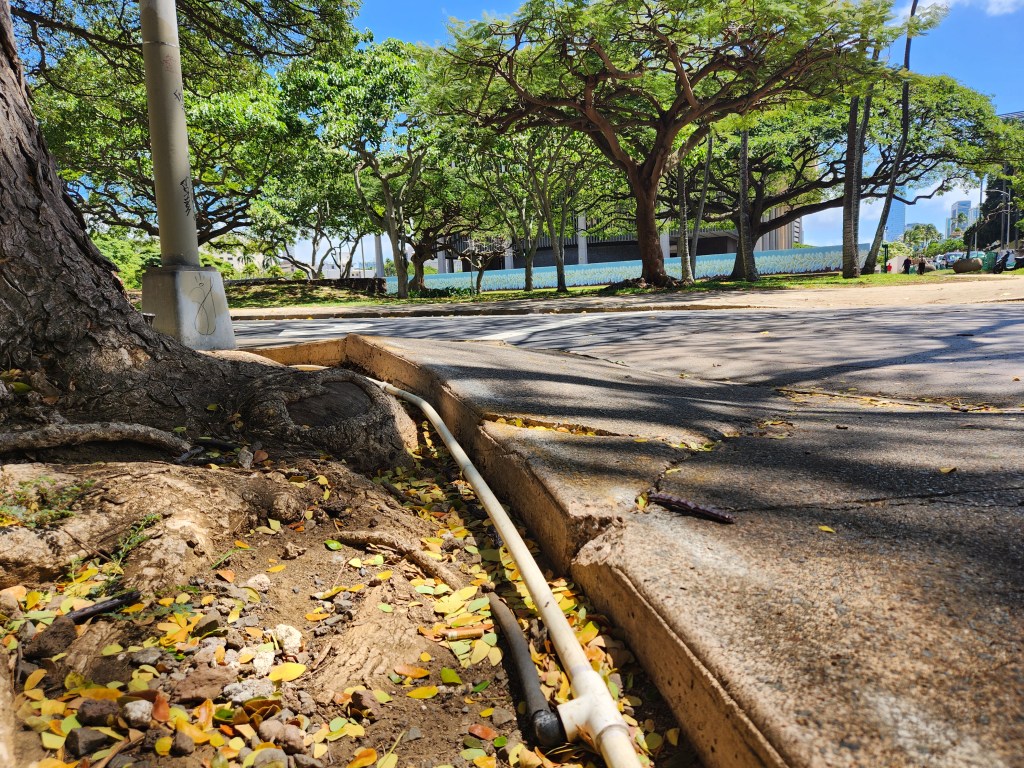 Fix it A Monkeypod tree has broken the sidewalk at Richards and South Hotel streets.Hotel streets.