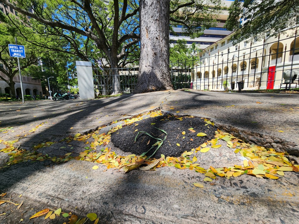 Fix it A Monkeypod tree has broken the sidewalk at Richards and South Hotel streets.
