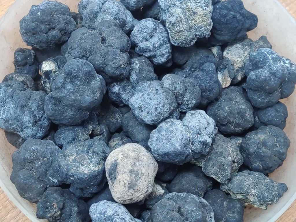 Polymetallic sea nodules collected from a deep sea mining expedition in the Indian Ocean. Pallava Bagla / Corbis via Getty Images via Grist