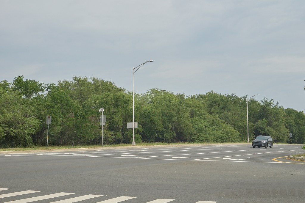 The intersection of Old Fort Weaver Road and Fort Weaver Road occurs about a mile south of the Queens West Hospital.  At that location on the Ewa Makai corner, (north west corner) there is a large parcel of land that at this point is undeveloped and overgrown. Photographed Friday April 4th 2025.(David Croxford/Civil Beat/2025)