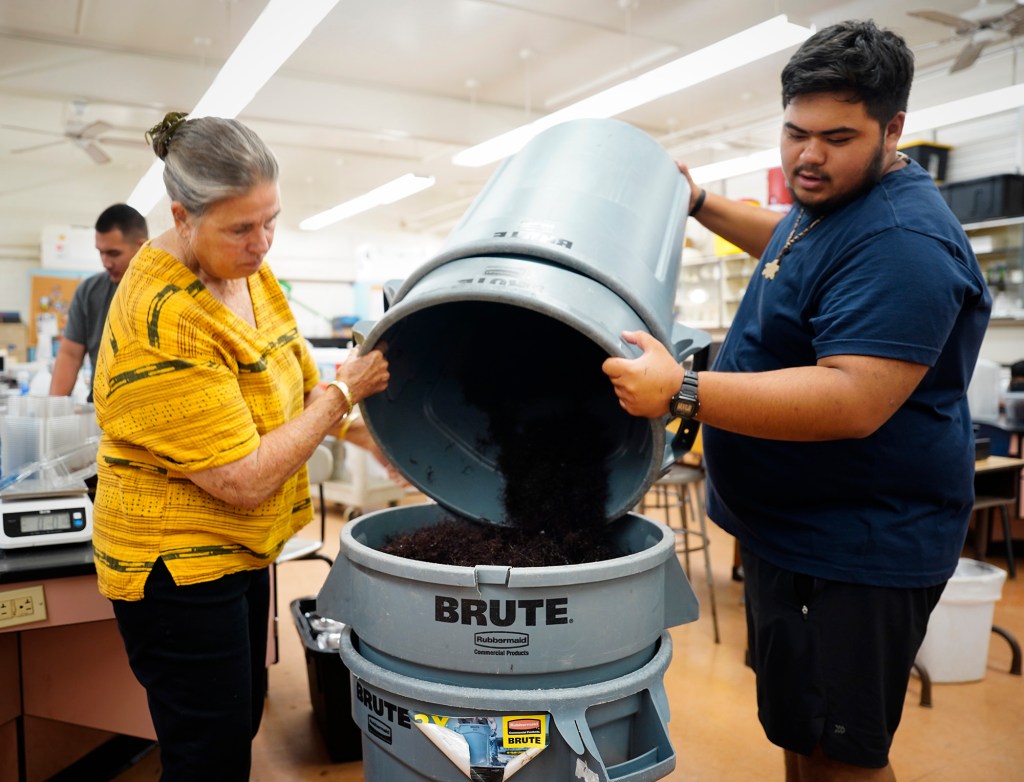 Waiʻanae High School Marine Science Learning Center’s  Dana Hoppe and Hyrum Tom move limu from an almost-empty bin to a full one Monday, April 21, 2025, in Waiʻanae. The boxed aquaculture product is sold to Waiʻanae Coast Comprehensive’s ‘Elepaio Social Services which are distributed to the community’s kūpuna free of charge. The program uses another name for their limu: ogo. (Kevin Fujii/Civil Beat/2025)