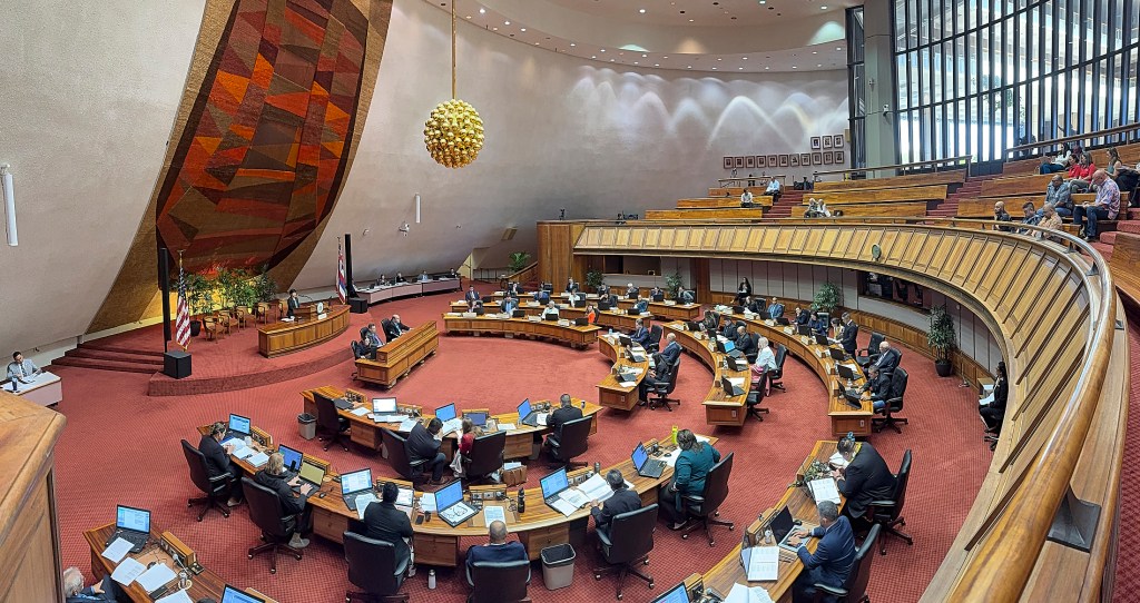 Views from both the House of Representatives and the Senate, photographed April 30th, 2025. Discussion during the recesses and during each of the bills under discussion.(David Croxford/Civil Beat/2025)