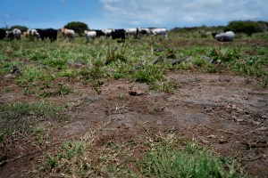 Drought Is Quietly Pushing American Cities Toward A Fiscal Cliff