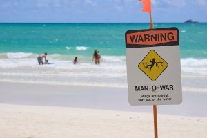 800 Drownings And 12 Years Later, Hawaiʻi To Step Up Anti-Drowning Efforts