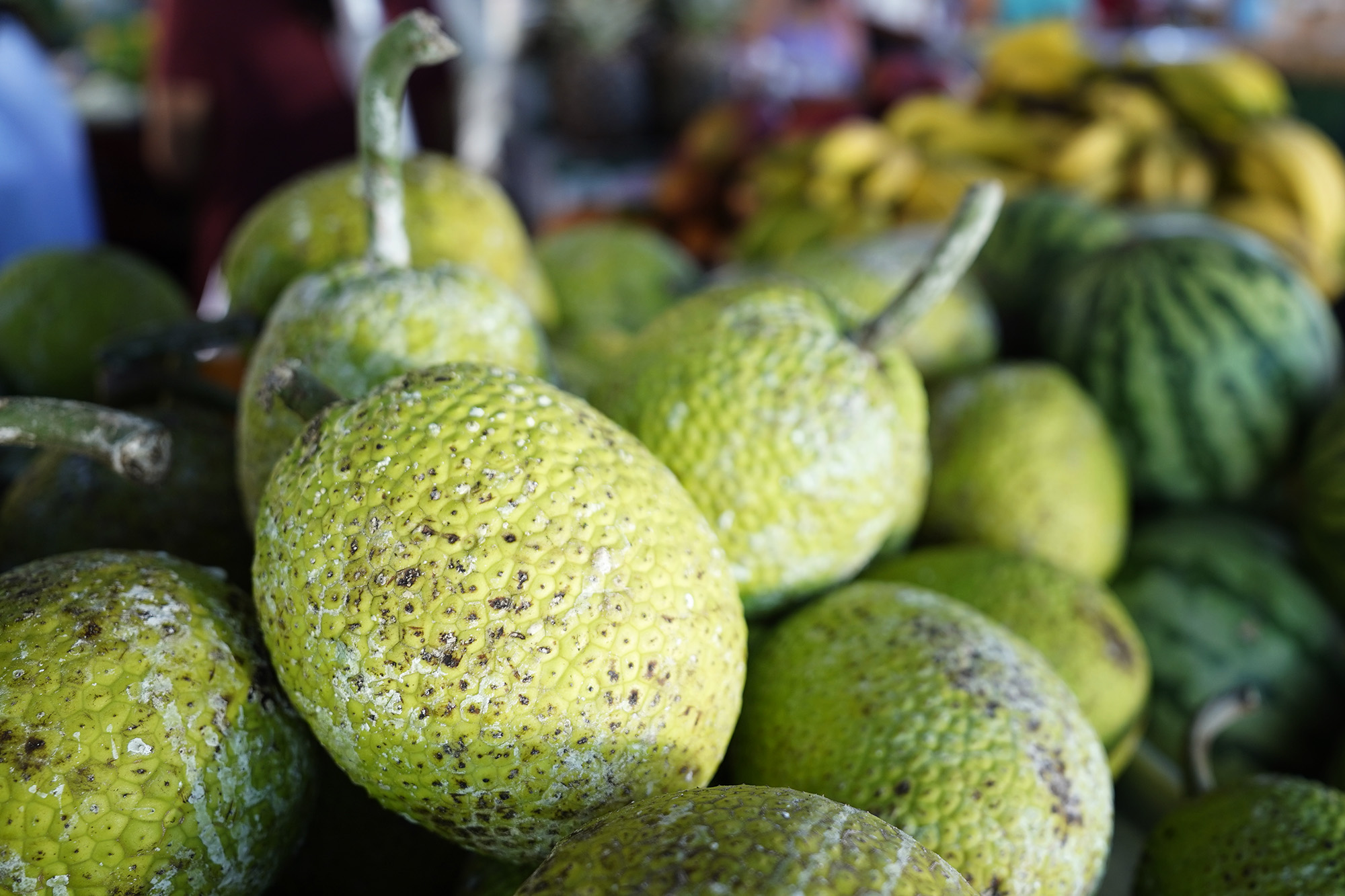 ʻUlu On The Up: Hawaiʻi Breadfruit Production Keeps Booming