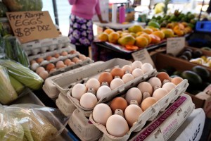 As Mainland Egg Prices Drop, Waialua Fresh Eggs Invests In Hawaiʻi
