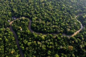 Governors Worldwide Lead The Fight Against Climate Change And Deforestation