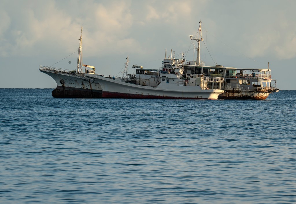Tuna is transshipped at sea just off the coast of Honiara, the Solomon Islands' capital city. (Nathan Eagle/Civil Beat/2025)