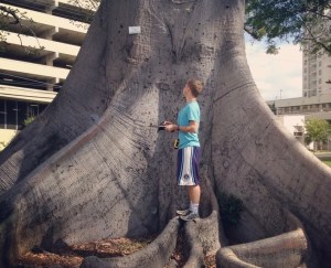 Hawaiʻi’s ‘Exceptional Tree’ Program Now 50 Years Strong