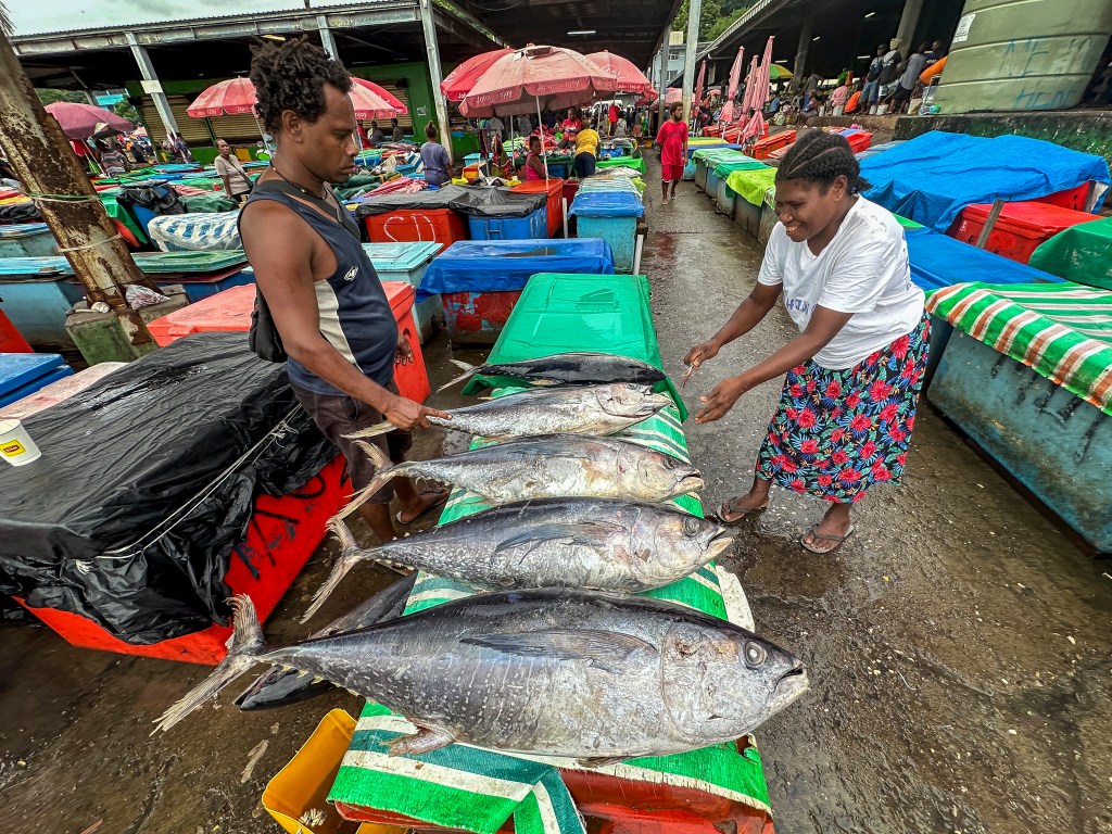 Tuna caught in the Pacific Ocean is sold at the Honiara market. (Nathan Eagle/Civil Beat/2025)