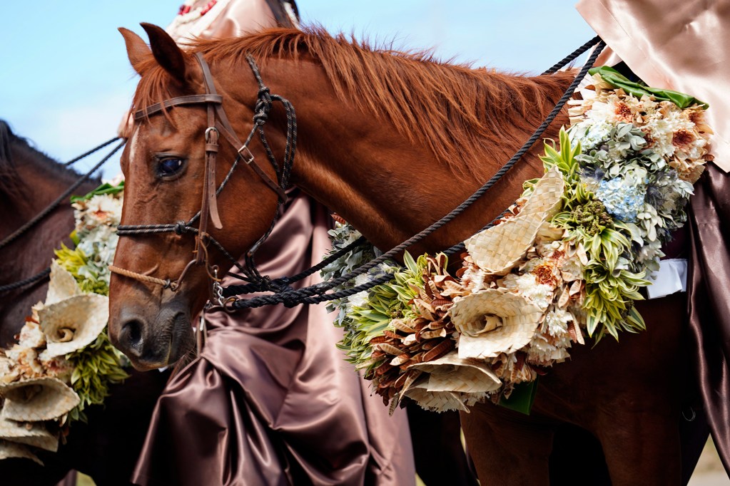 108th King Kamehameha Celebration Floral Parade Island of Ni'ihau Pā‘ū riders follows their Princess Denese Ancheta Saturday, June 14, 2025, in Honolulu. In its 153 year, the King Kamehameha Day Celebrations honor Kamehameha I, the “Father of the Hawaiian Kingdom,” who united the Hawaiian Islands under one rule. His great-grandson King Kamehameha V established King Kamehameha Day in 1971. It was first observed on June 11, 1872. (Kevin Fujii/Civil Beat/2025)