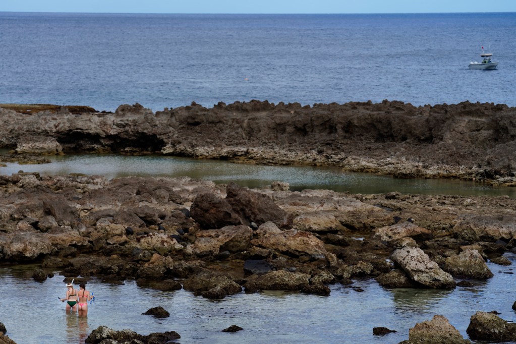 Two snorkelers find an uncrowded spot in Sharks Cove Monday, June 16, 2025, in Haleʻiwa. (Kevin Fujii/Civil Beat/2025)