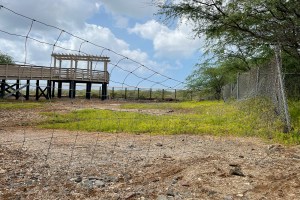 Twice Torched Bird Watch Overlook Remains Shut