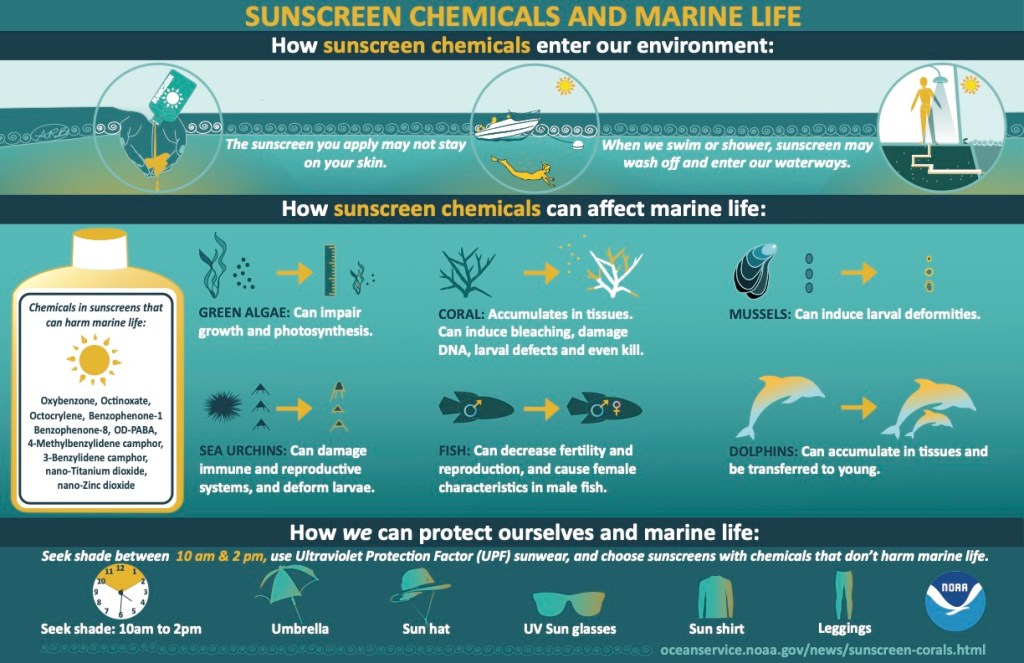 NOAA UV Filters Infographic