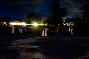 Sea Turtle Nests Threatened On North Shore By Lights, Bonfires, Joyrides