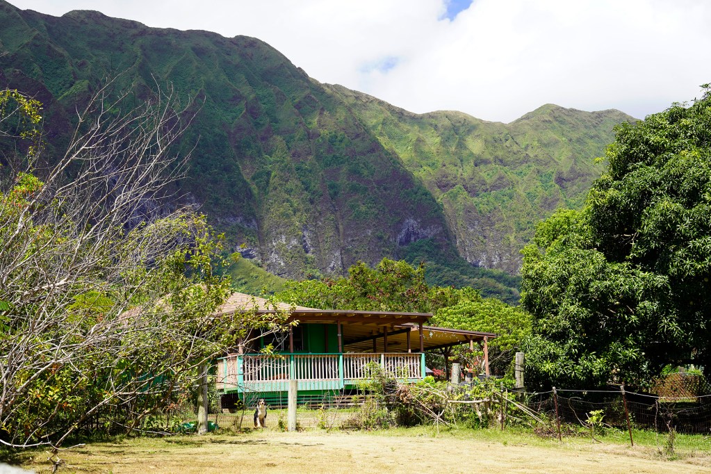 The second property in Waimānalo where child abuse allegedly took place is photographed Tuesday, June 15, 2025, in Waimānalo. These photos are made for John Hill’s project on child abuse. The photos are of places where alleged abuse took place. (Kevin Fujii/Civil Beat/2025)