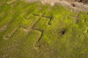 Hawaiian Petroglyphs Reemerge Thanks To Changing Tides And Shifting Sands