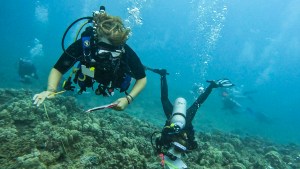 Tracking Coral Disease Attacking Hawaiʻi’s Reefs Is All-Hands-On-Deck Job