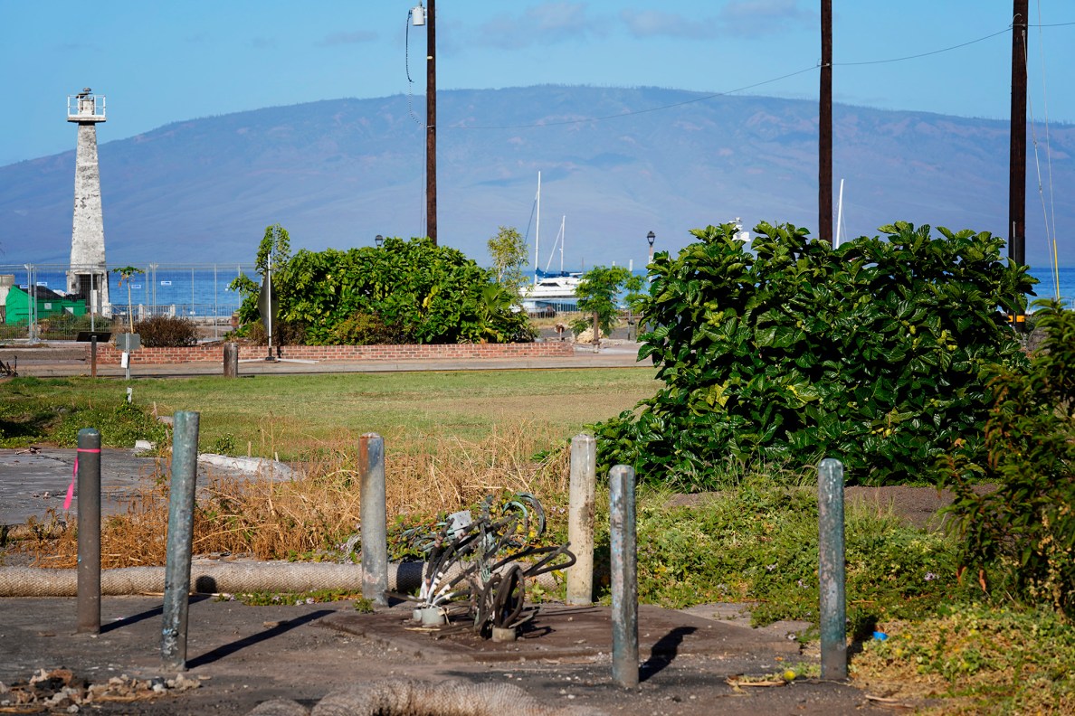 The remains of the Wharf Cinema Center sit next to a spot with wood chips from a ground-down stump of trees at James Campbell Park overlooking the Lahaina Lighthouse and plot for the Lahaina Public Library Monday, Aug. 4, 2025, in Lahaina. Rex Cole, a homeless man, was said to be found near these trees after the Aug. 8, 2023, fire. (Kevin Fujii/Civil Beat/2025)